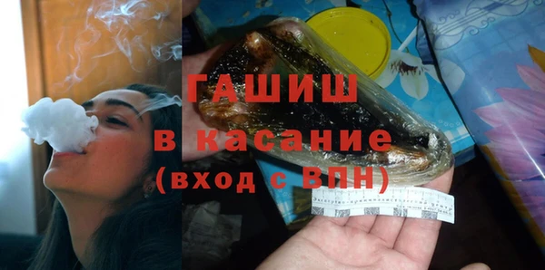 индика Аркадак