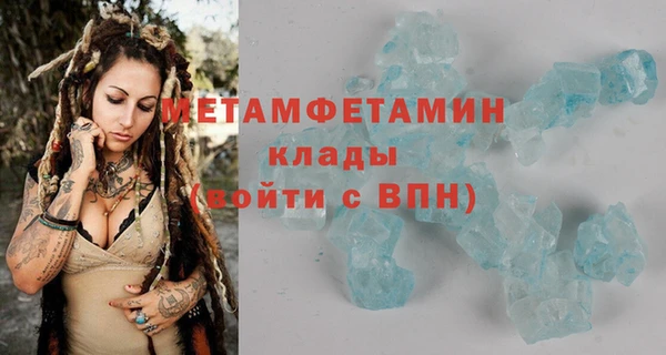 индика Аркадак