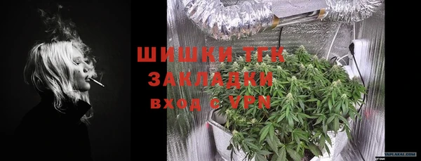 индика Аркадак